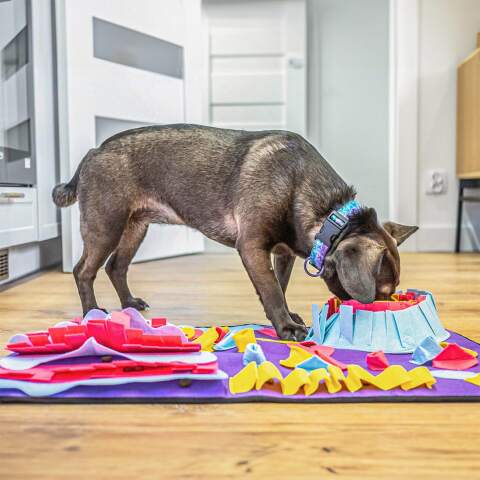 Alternative view of Large Snuffle Mat for Dogs (70 x 50 cm)