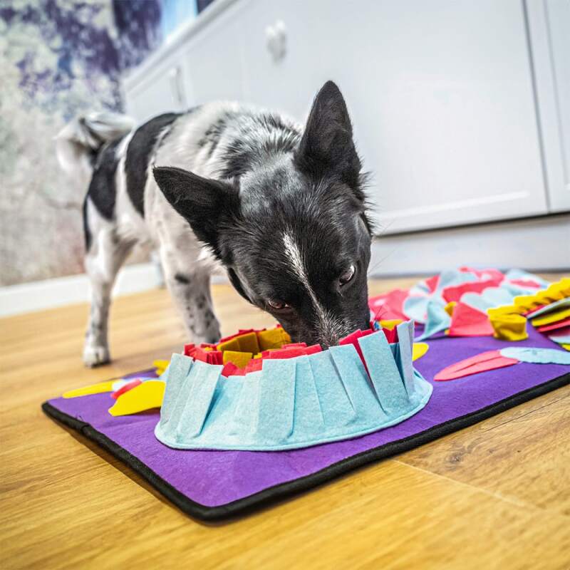 Large Snuffle Mat for Dogs (70 x 50 cm) - Image 3