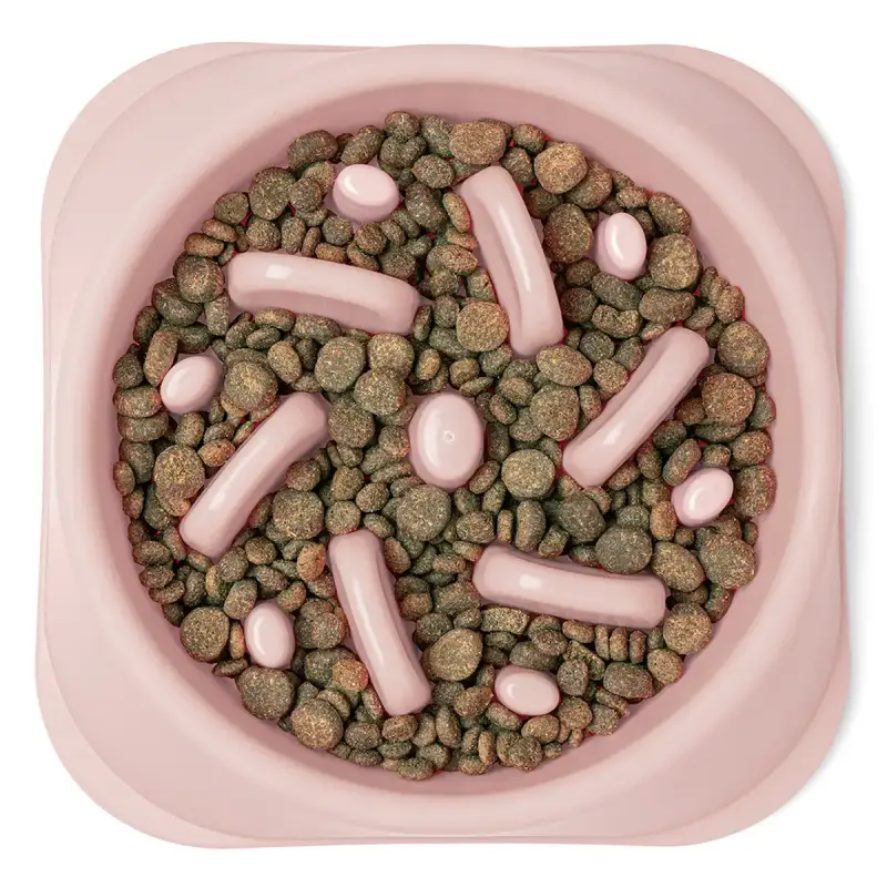 Slow Feeder Bowl for Dogs & Cats (500ml)