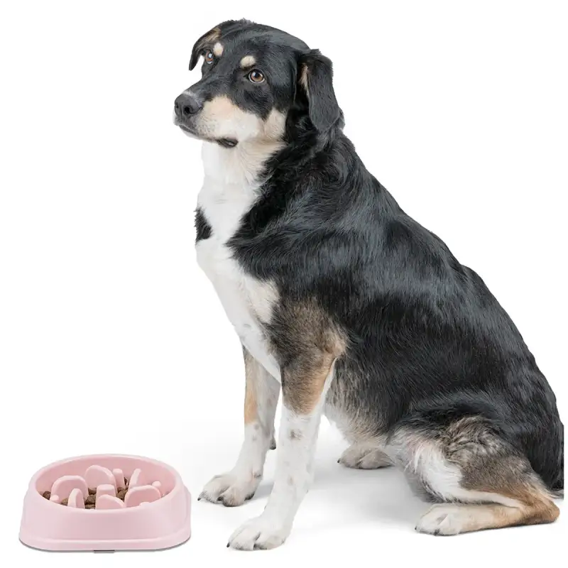 Slow Feeder Bowl for Dogs & Cats (500ml) - Image 2