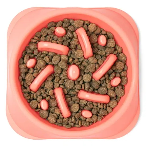 500ml Slow Feeder Bowl for Dogs and Cats