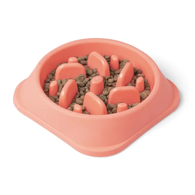 500ml Slow Feeder Bowl for Dogs and Cats - Image 2