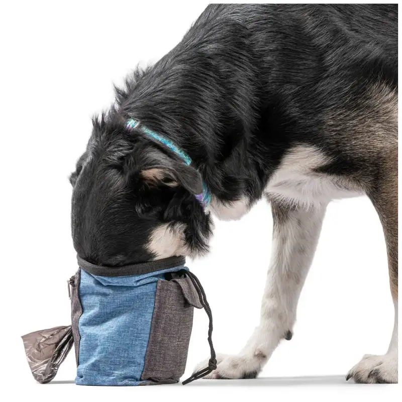 Blue Dog Treat Pouch for Training - Image 4