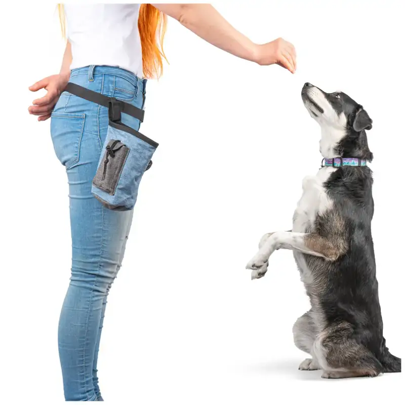 Blue Dog Treat Pouch for Training - Image 2