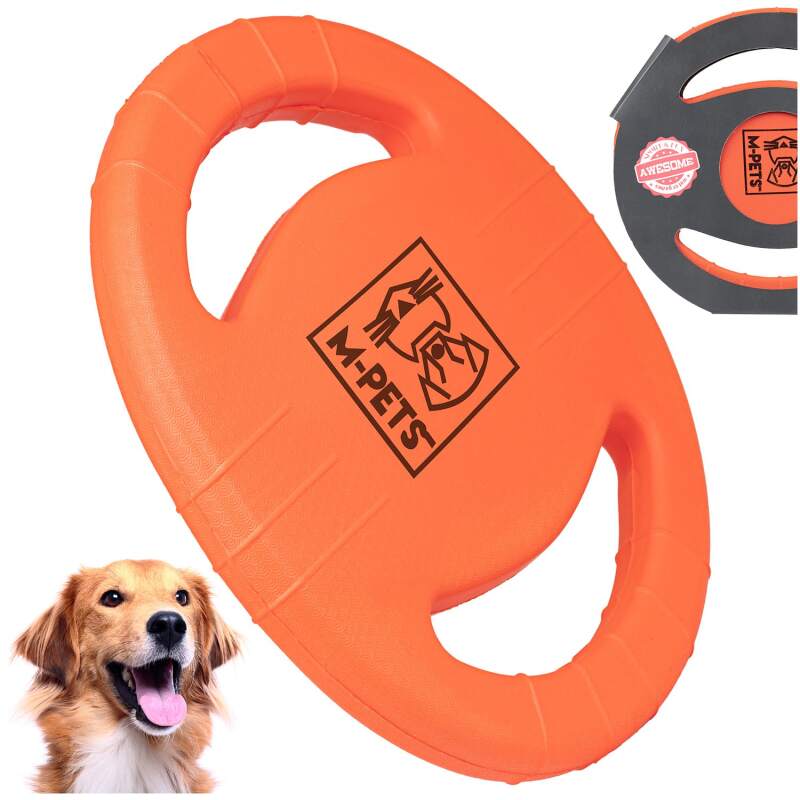 Agility Training Ring for Dogs
