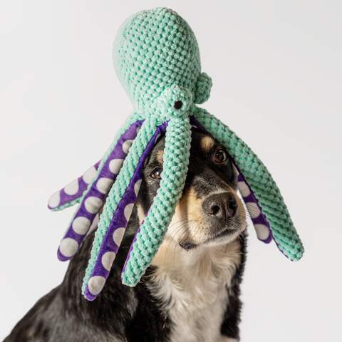 Alternative view of RAGI Plush Octopus Squeaky Dog Toy