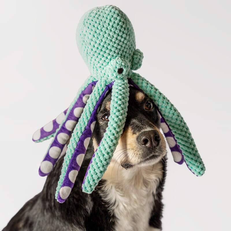 RAGI Plush Octopus Squeaky Dog Toy - Image 2