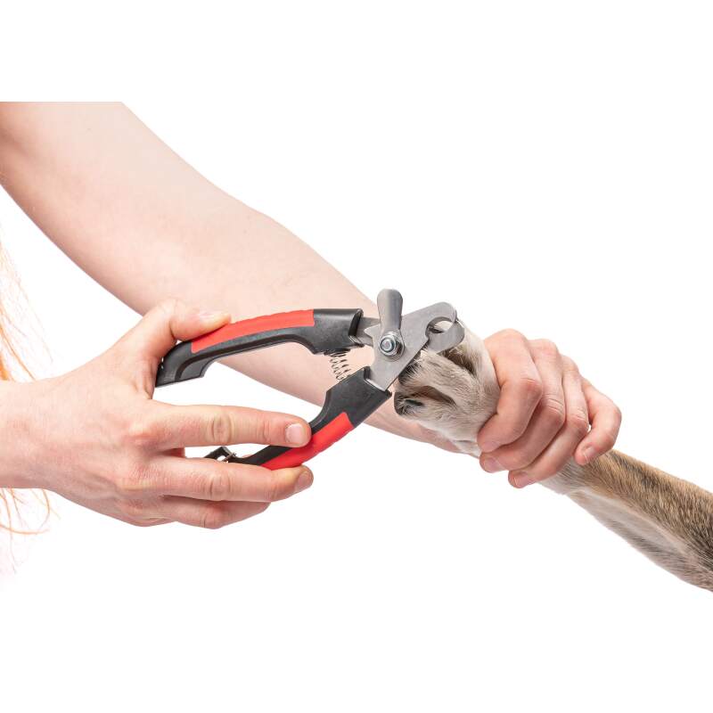 Large Dog & Cat Nail Clippers with Free File - Image 4