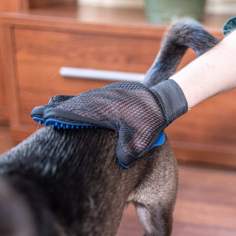 RAGI Dog Grooming Glove - Image 3