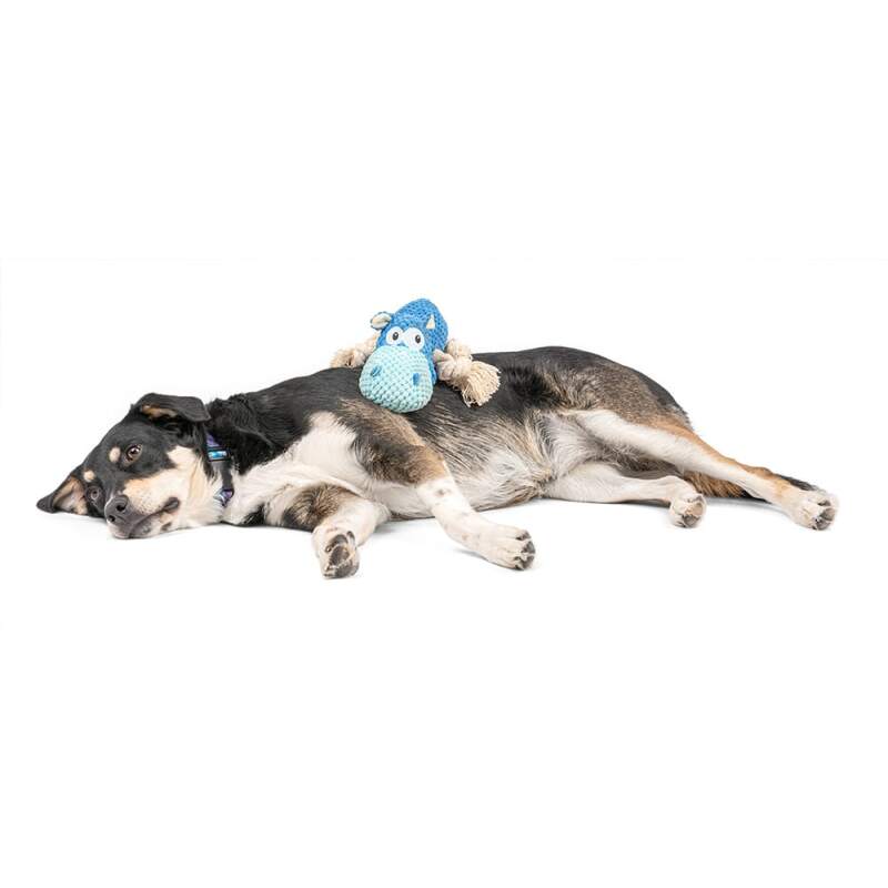 Blue Hippo Squeaky Plush Dog Toy - Image 3