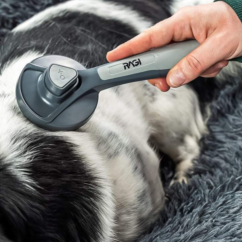 Self-Cleaning Slicker Brush for Dogs & Cats - Image 6