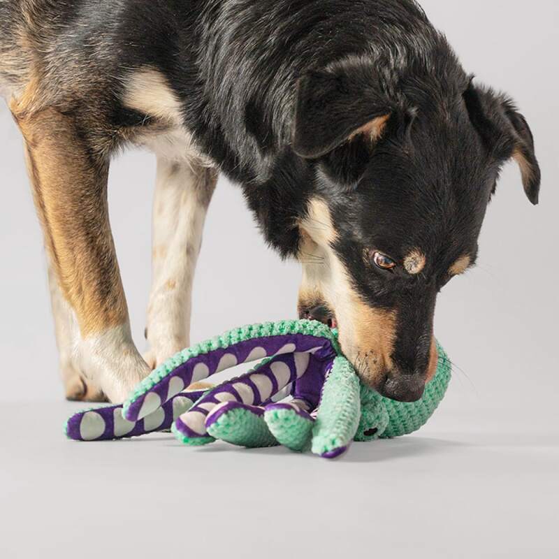 RAGI Plush Octopus Squeaky Dog Toy - Image 6