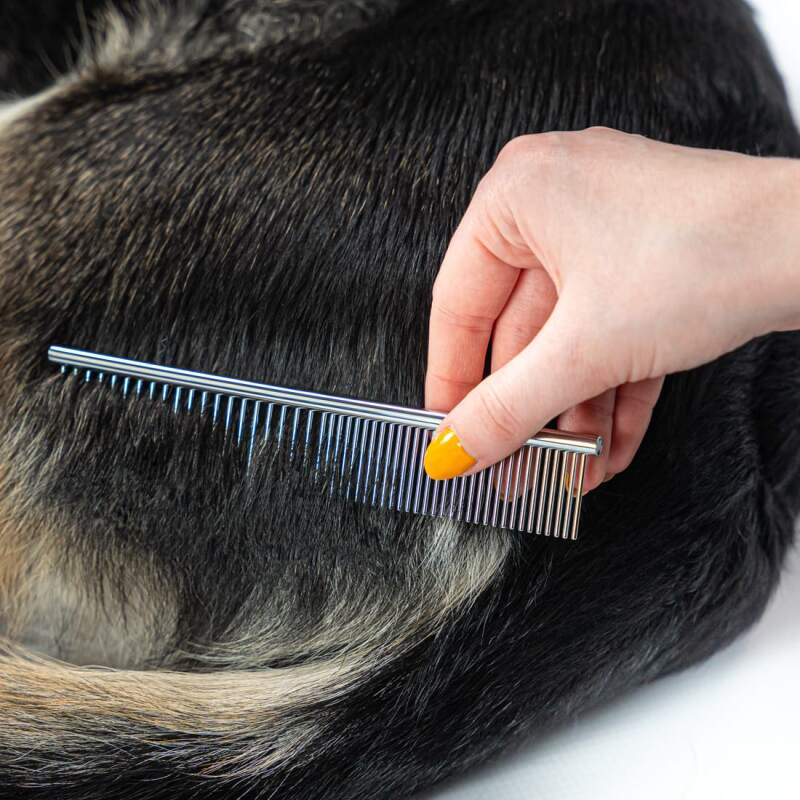 Stainless Steel Dog Grooming Scissors Set - Image 7