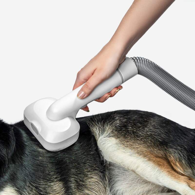 Dog Grooming Vacuum Kit with Clipper and Brushes - Image 9