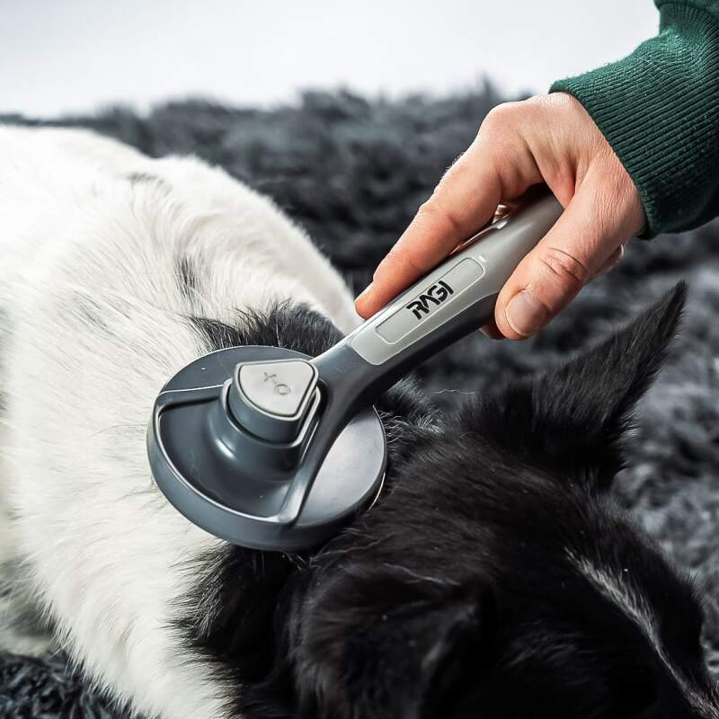Self-Cleaning Slicker Brush for Dogs & Cats - Image 7