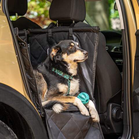 Alternative view of Black Dog Car Seat for Small and Medium Dogs