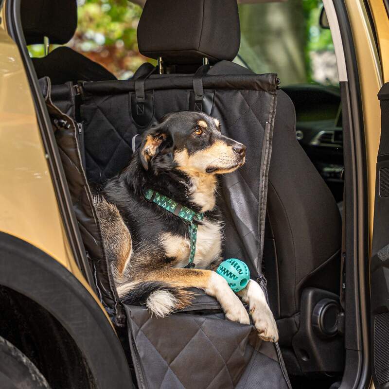 Black Dog Car Seat for Small and Medium Dogs - Image 2