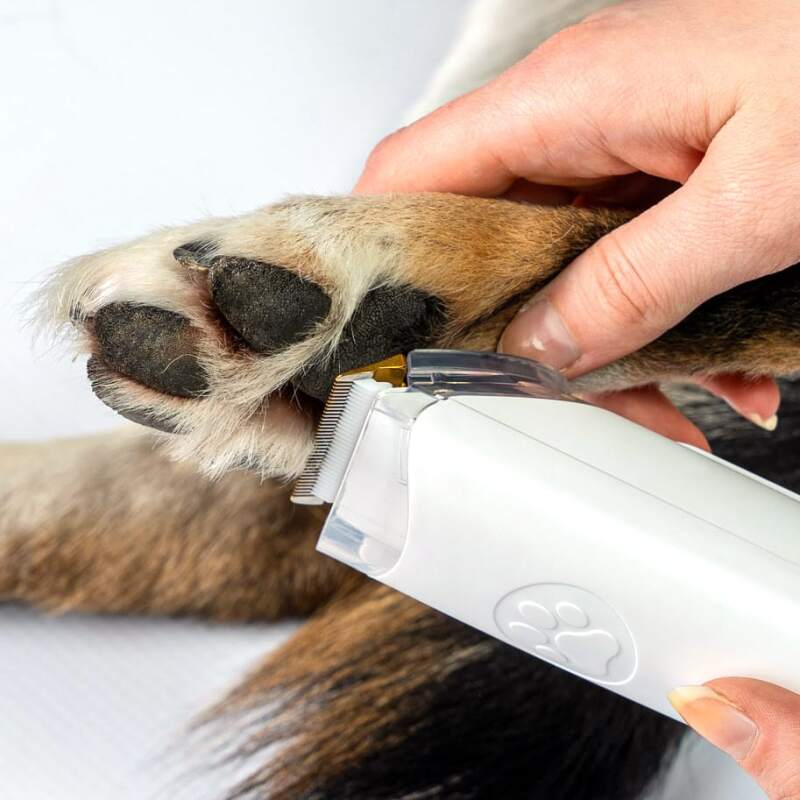 Dog Grooming Vacuum Kit with Clipper and Brushes - Image 13