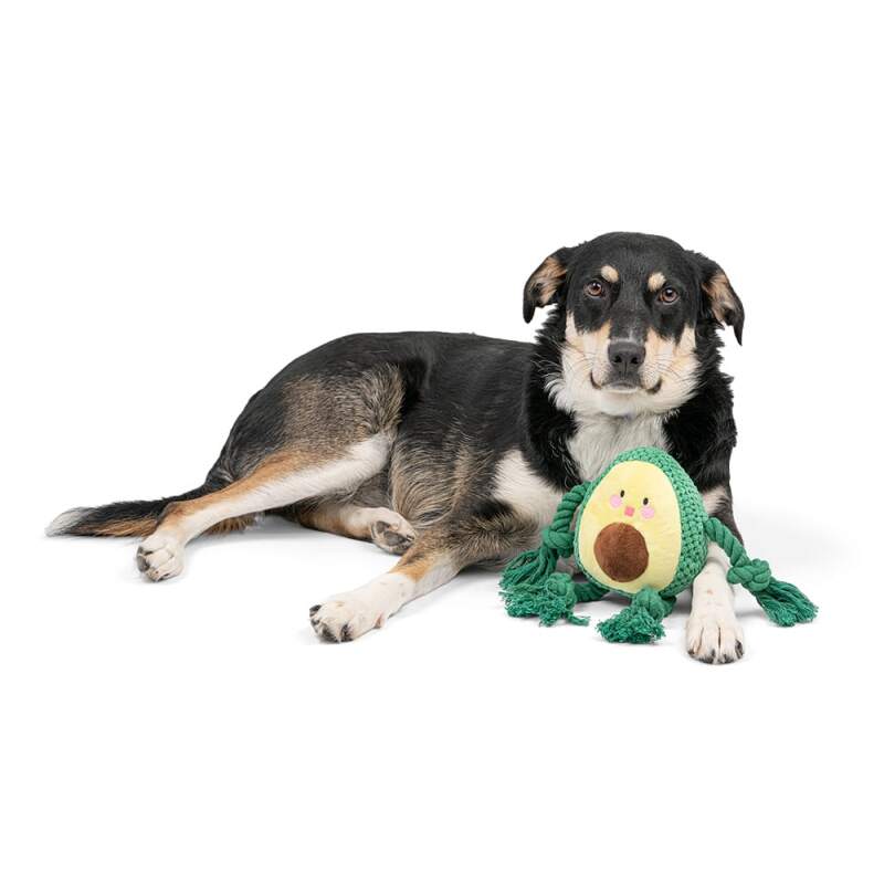 RAGI Plush Avocado Squeaky Dog Toy - Image 5