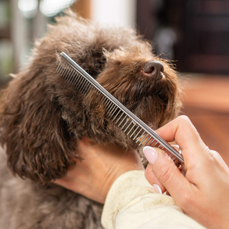 Quiet Cordless Dog Grooming Clippers - Image 14