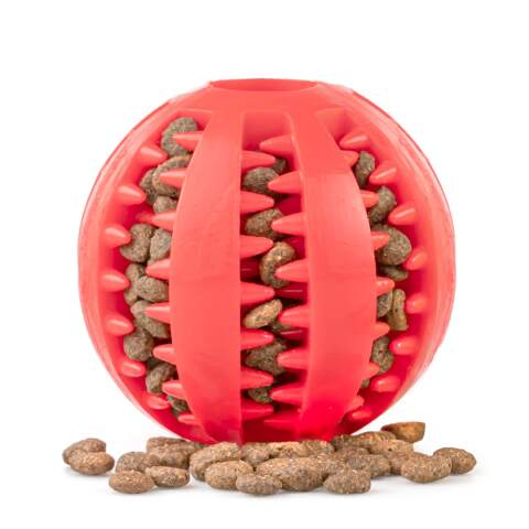 Snuggle Cave Dog Bed with Burrow Pocket