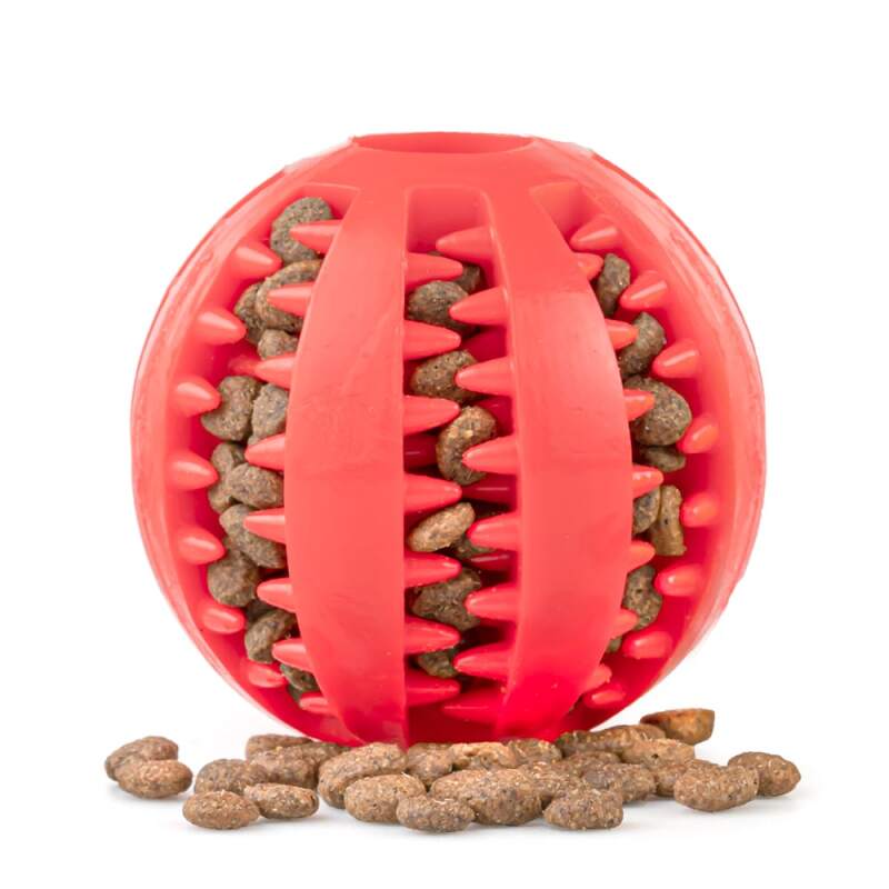 Snuggle Cave Dog Bed with Burrow Pocket