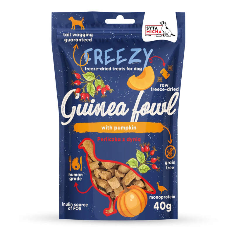 Freeze-Dried Guinea Fowl & Pumpkin Dog Treats - Image 2