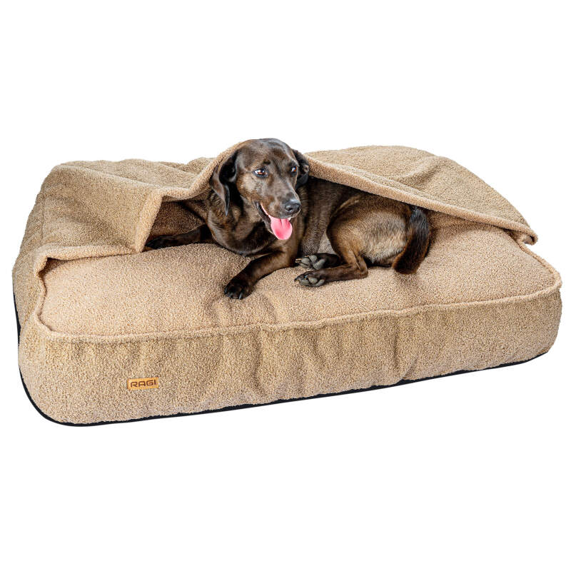XL Beige Cave Dog Bed with Burrow Pocket