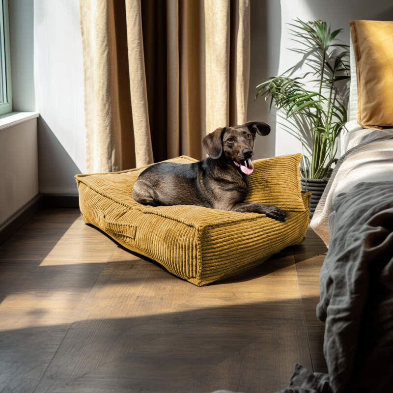 XL Mustard Corduroy Dog Bed - Image 2