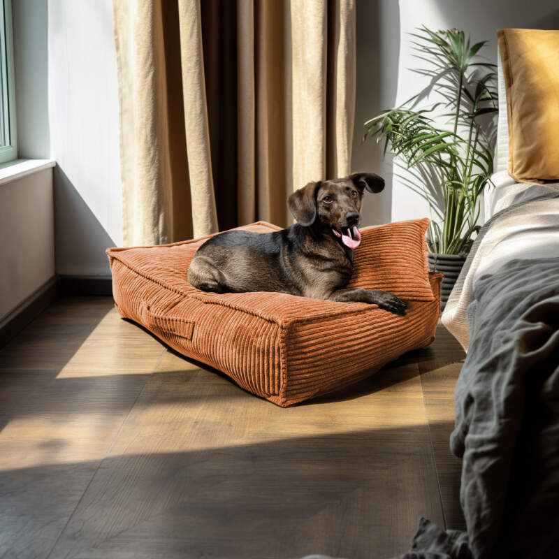 XL Rust Corduroy Dog Bed - Image 2