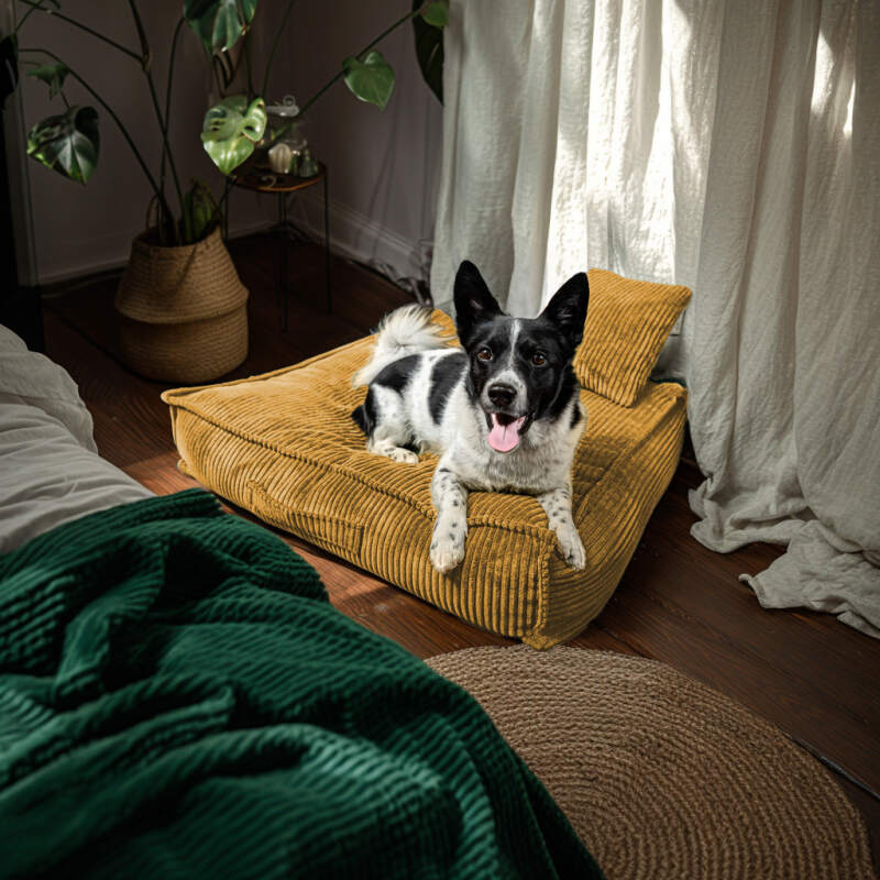 XL Mustard Corduroy Dog Bed - Image 3