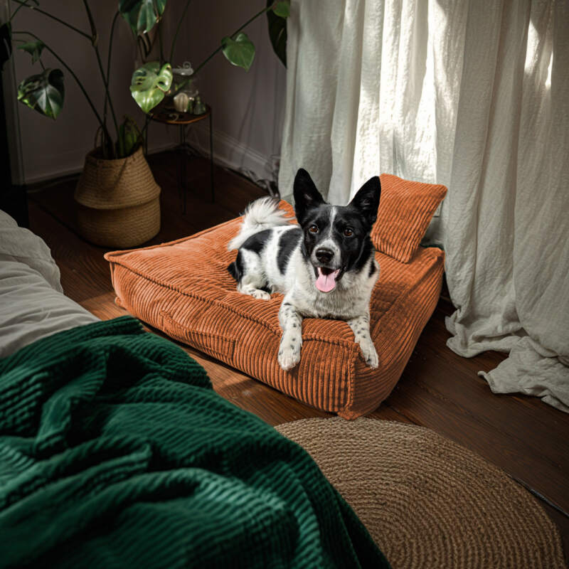 XL Rust Corduroy Dog Bed - Image 3