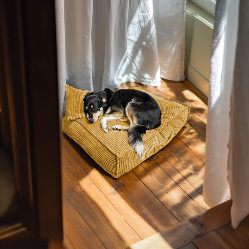 XL Mustard Corduroy Dog Bed - Image 4