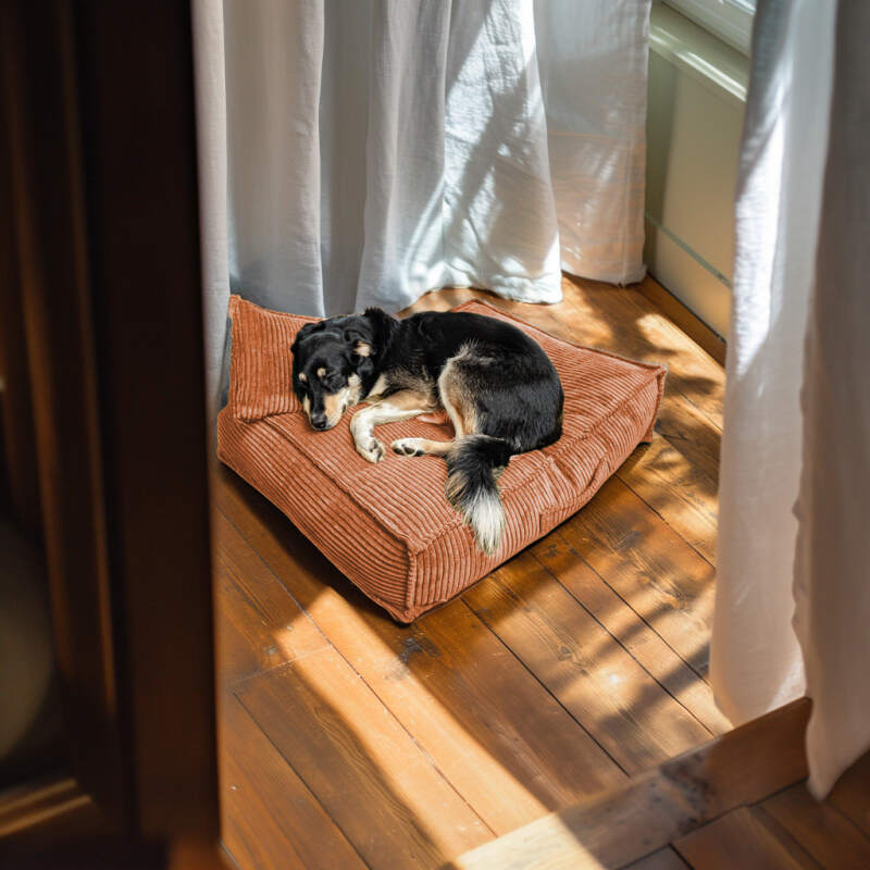 XL Rust Corduroy Dog Bed - Image 4