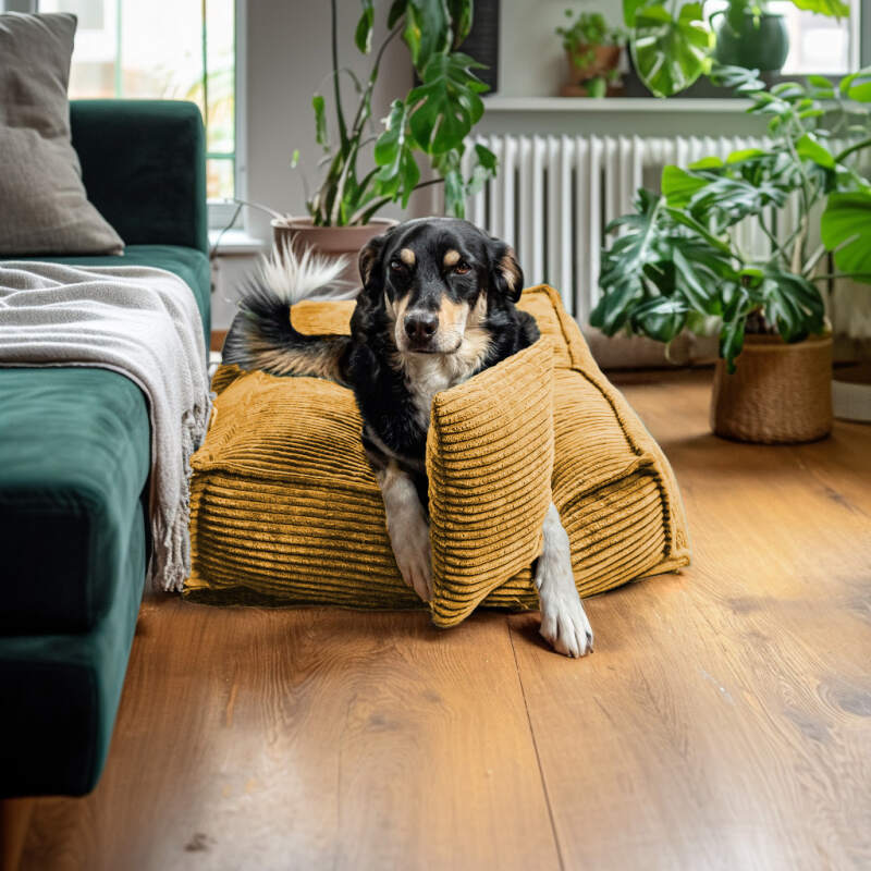 XL Mustard Corduroy Dog Bed - Image 5