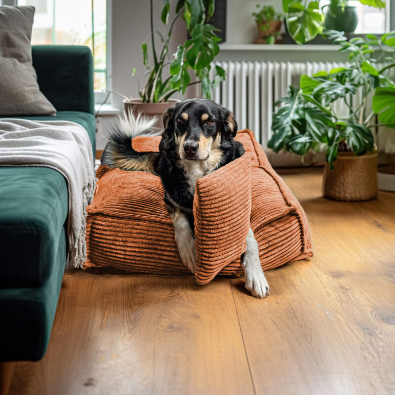 XL Rust Corduroy Dog Bed - Image 5