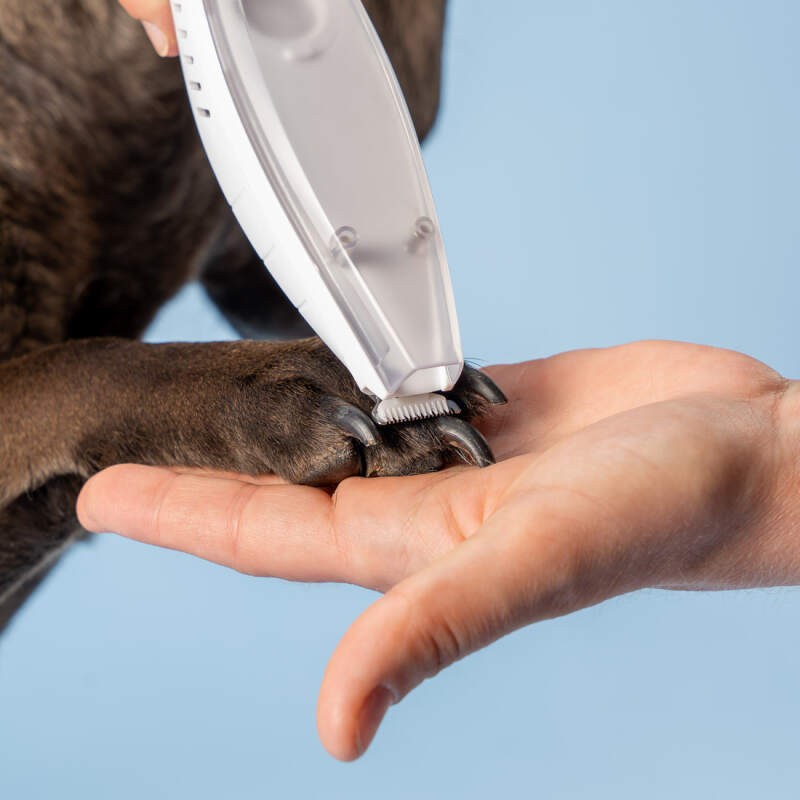 Cordless Dog Paw Trimmer with Built-in Vacuum - Image 4