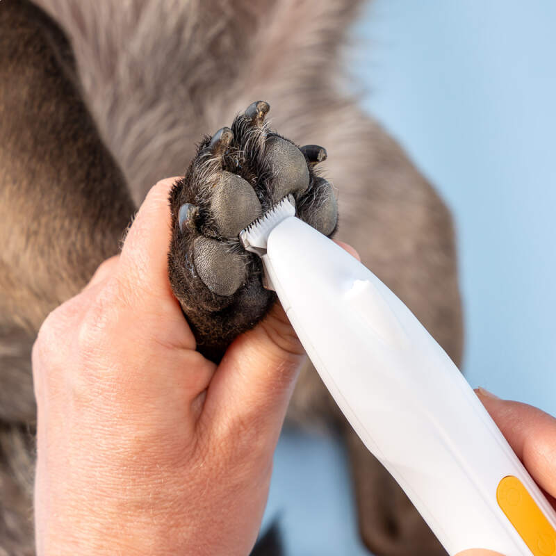 Cordless Dog Paw Trimmer with LED Light - Image 5