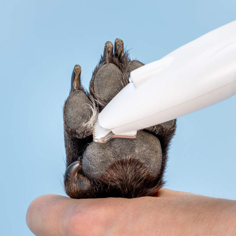 Cordless Dog Paw Trimmer with LED Light - Image 6