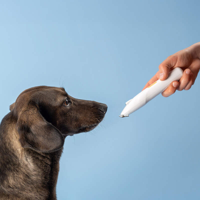 Cordless Dog Paw Trimmer with LED Light - Image 7