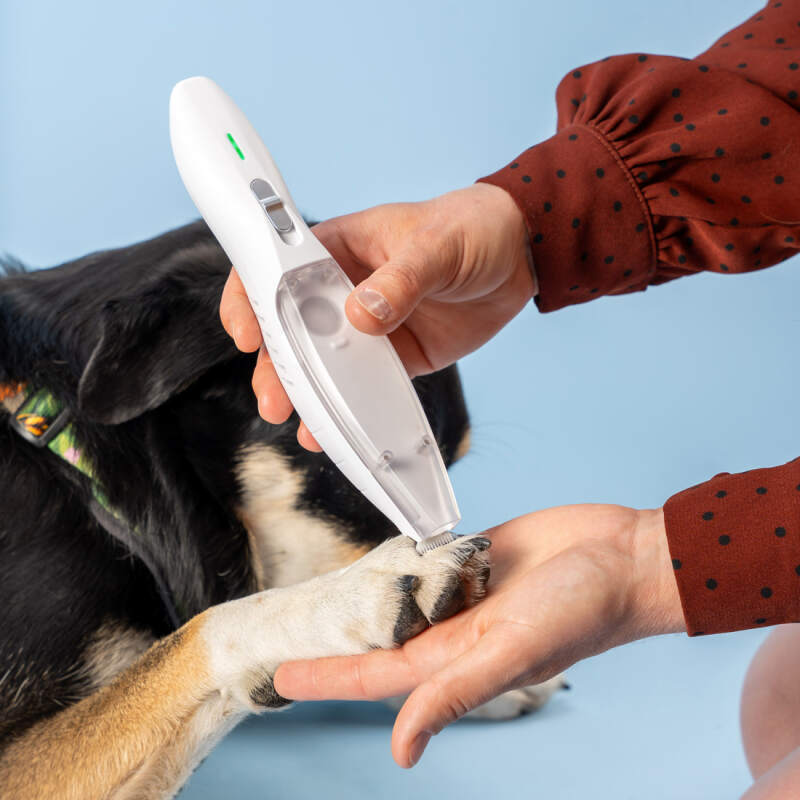 Cordless Dog Paw Trimmer with Built-in Vacuum - Image 6