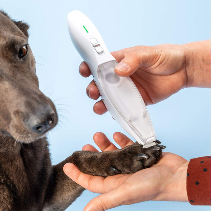 Cordless Dog Paw Trimmer with Built-in Vacuum - Image 7