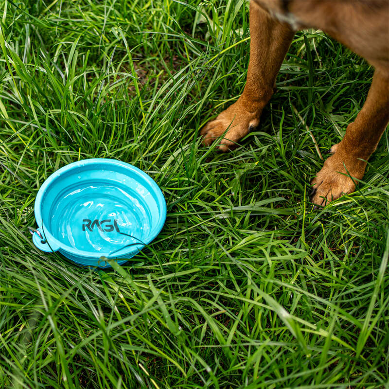 Collapsible Silicone Dog Travel Bowl 1L - Image 4