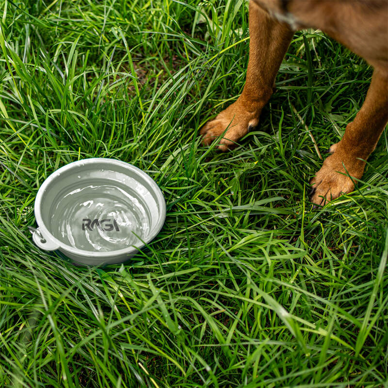 Collapsible Silicone Dog Travel Bowl 1L (Gray) - Image 4