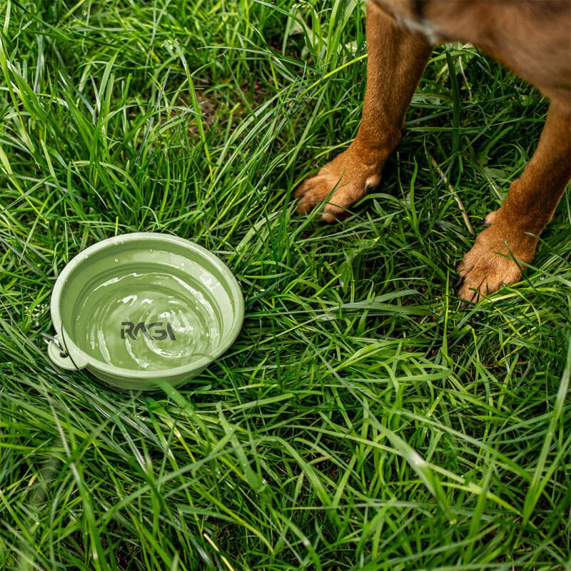 Collapsible Silicone Dog Travel Bowl 1L (Green) - Image 4