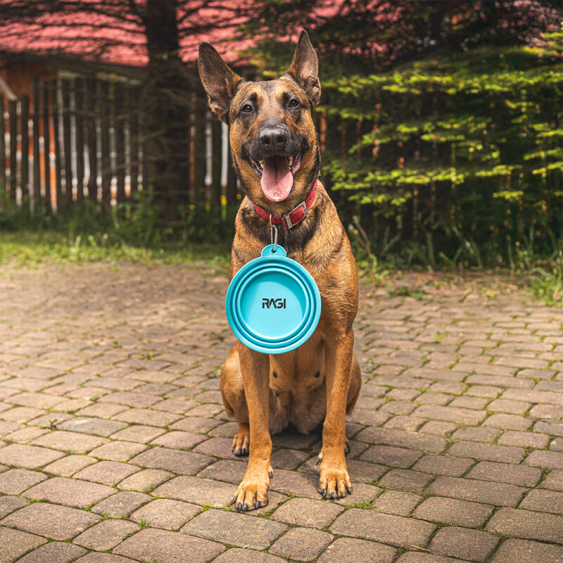 Collapsible Silicone Dog Travel Bowl 1L - Image 5