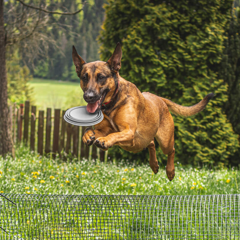 Collapsible Silicone Dog Travel Bowl 1L (Gray) - Image 6