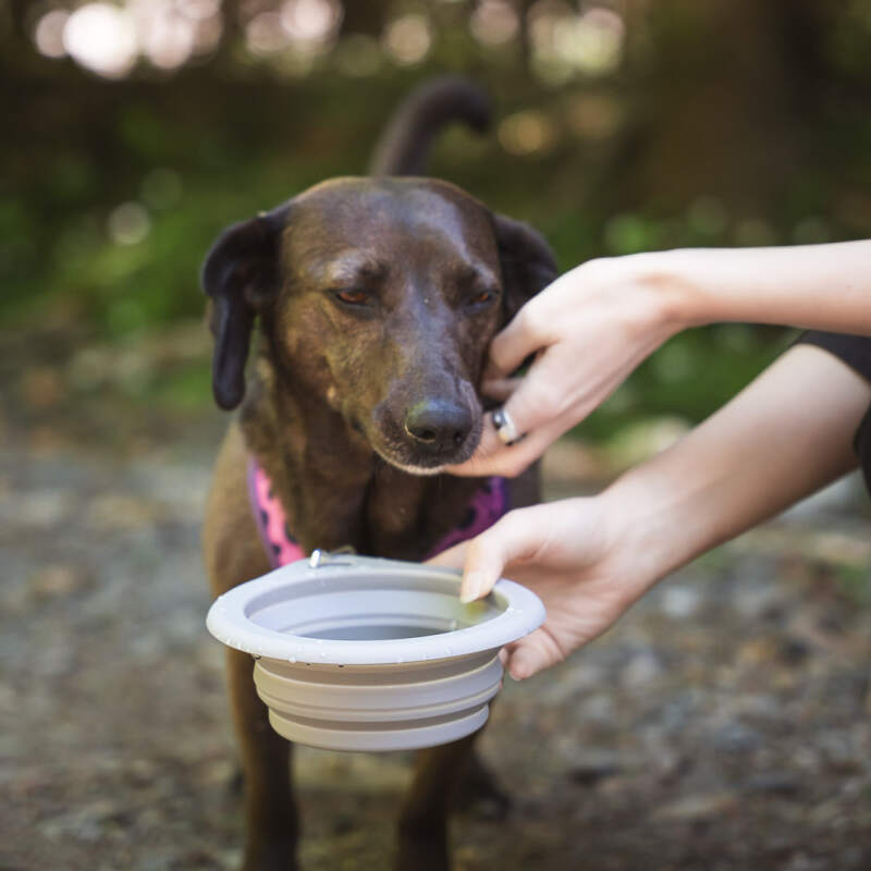 Collapsible Silicone Travel Bowl, 650 ml (Gray) - Image 7