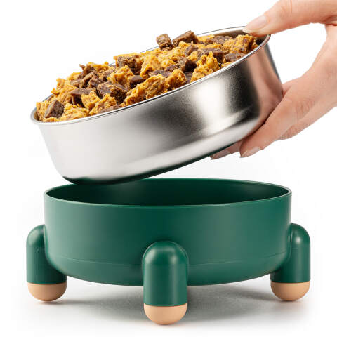 Non-Slip 2-in-1 Dog Bowl 700 ml in Green