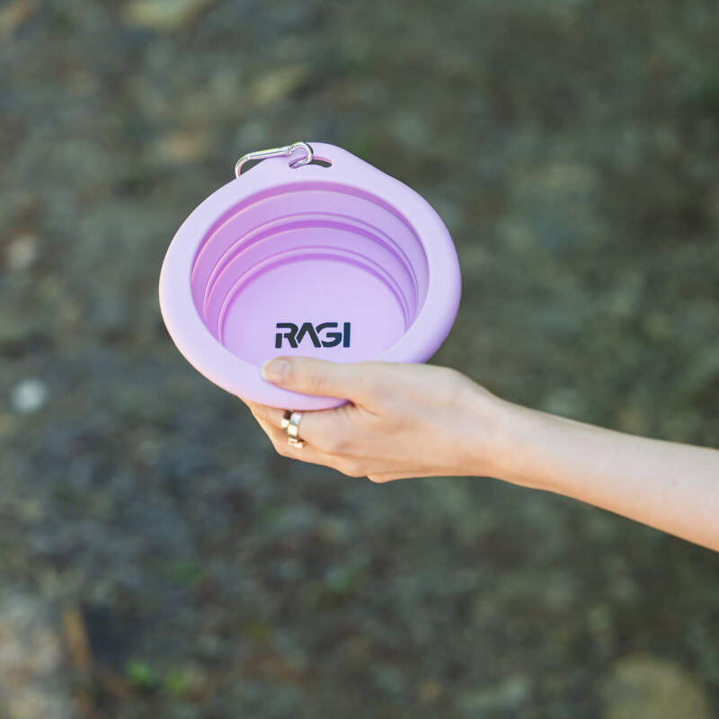 Collapsible Silicone Travel Bowl 650 ml - Image 2